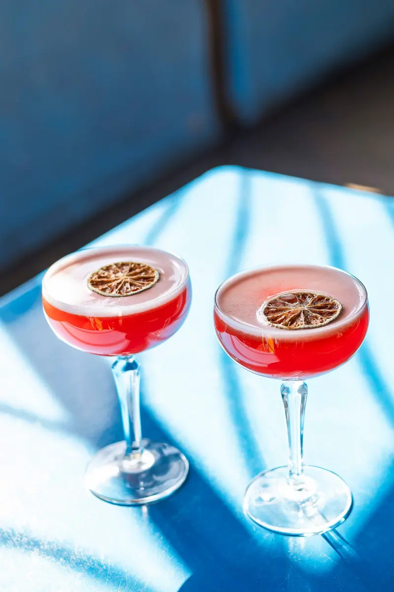 Pair of pink coupe cocktails with dried citrus wheels in afternoon sunlight
